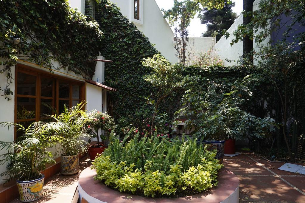 Casa Jacinta Guest House Mexico City Exteriör bild
