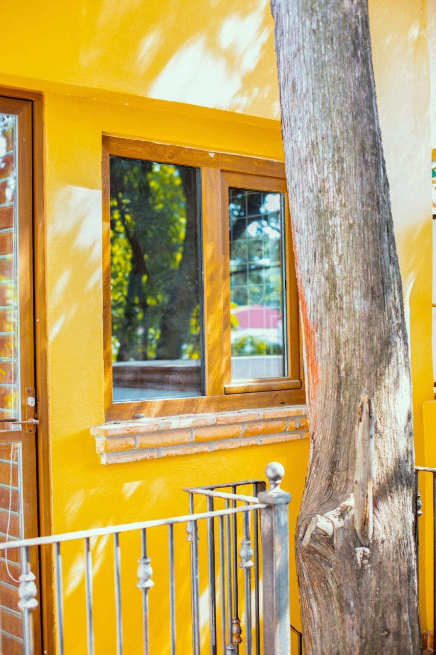 Casa Jacinta Guest House Mexico City Exteriör bild