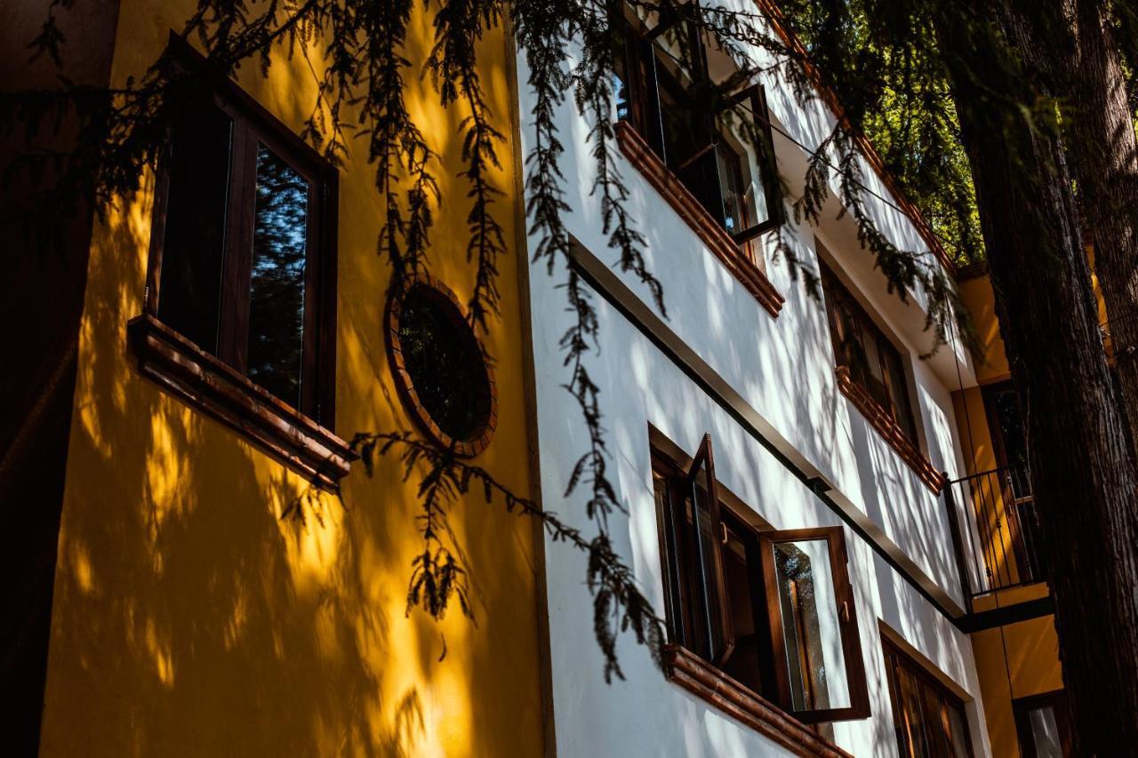 Casa Jacinta Guest House Mexico City Exteriör bild