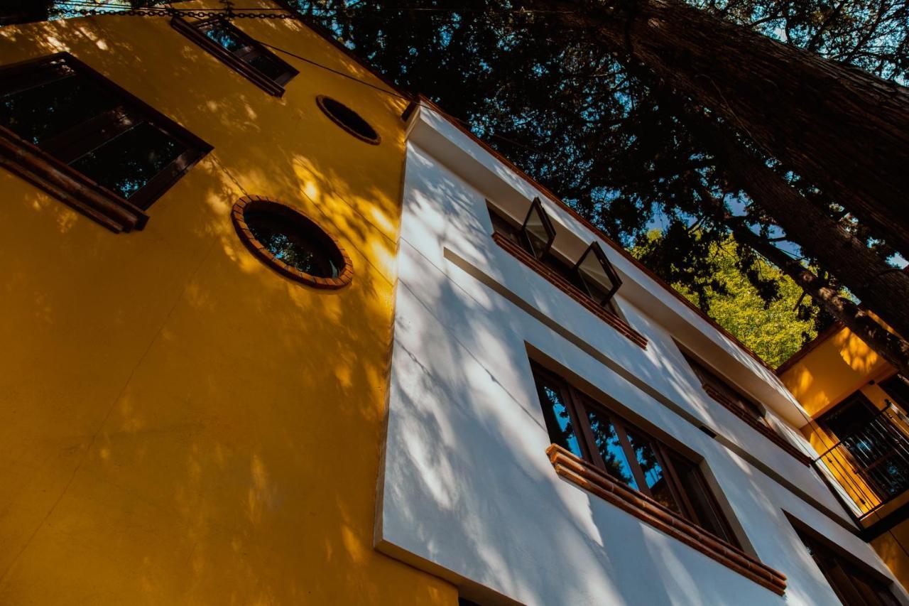 Casa Jacinta Guest House Mexico City Exteriör bild